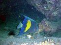 030508_Tobia Arba - Geographe - Dsc02312~